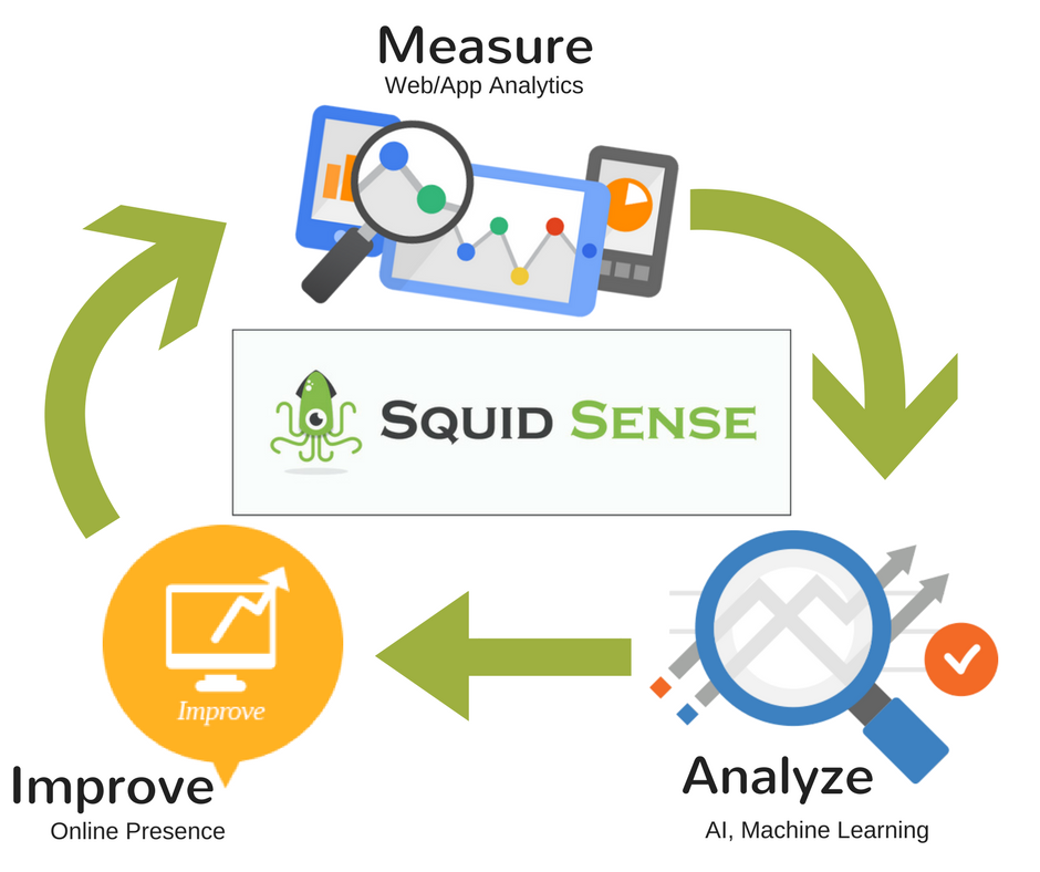 squid-sense-graphic